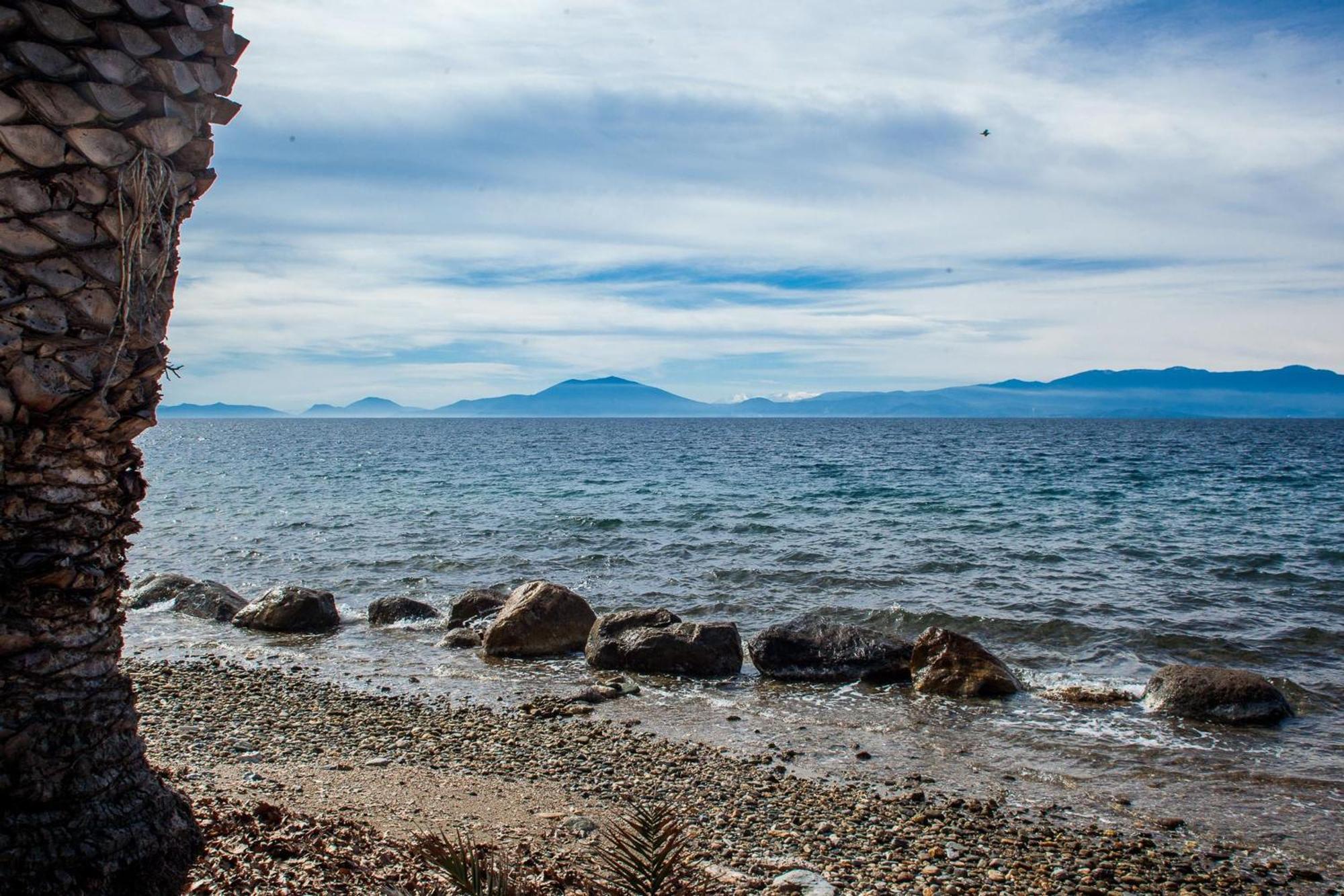 Villa Karnagio Seafront In Agria à Káto Lekhónia Extérieur photo